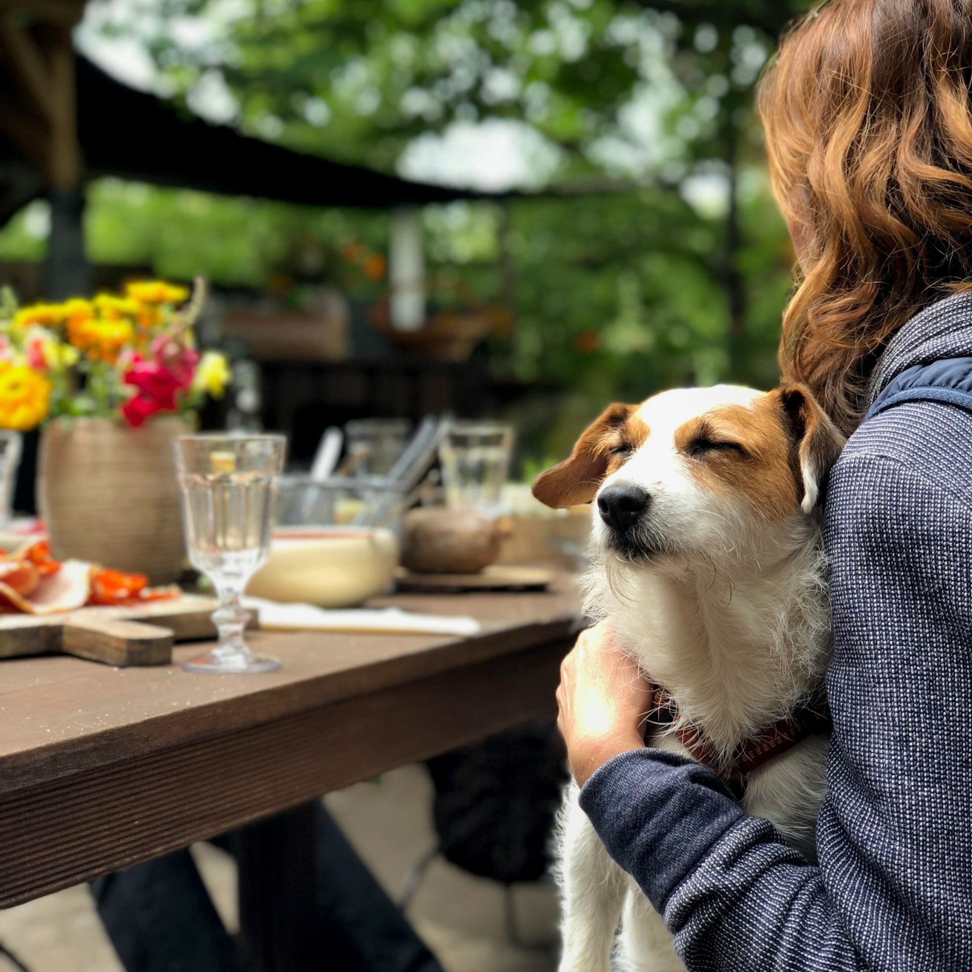 girl-is-cuddling-her-dog-on-chair